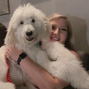 Meet your Posher, Ashleigh